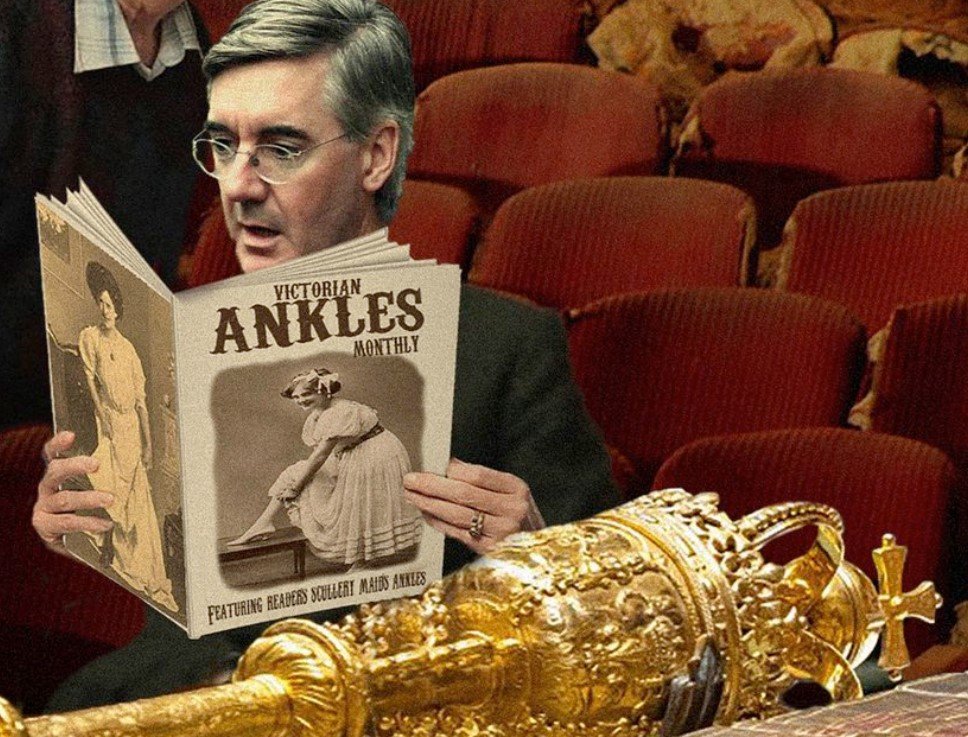 MoggAnkles.jpg.484049755ec91910d27f4885324c98df.jpg