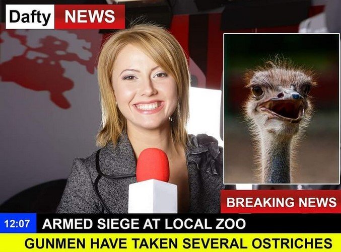 OstrichSeige.jpg.fdae7055fd8e9ea610fe75907c3c6ab5.jpg