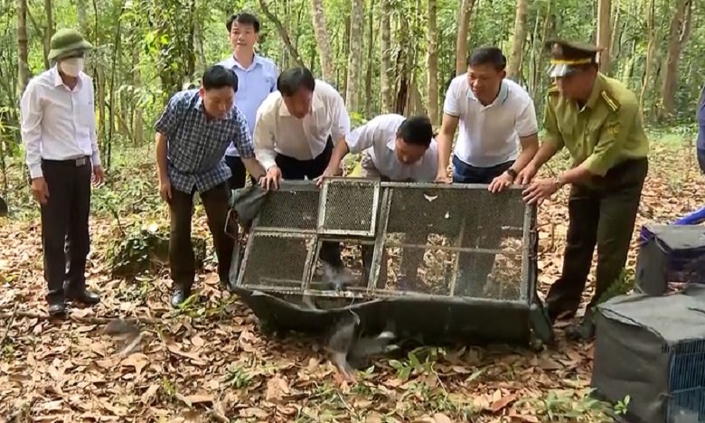 animal-1652084088-1652084112-4387-1652084658_680x408.jpg