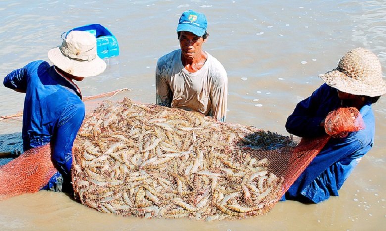 mekong1-1653028109-1653028129-3787-1653028373_680x408.jpg