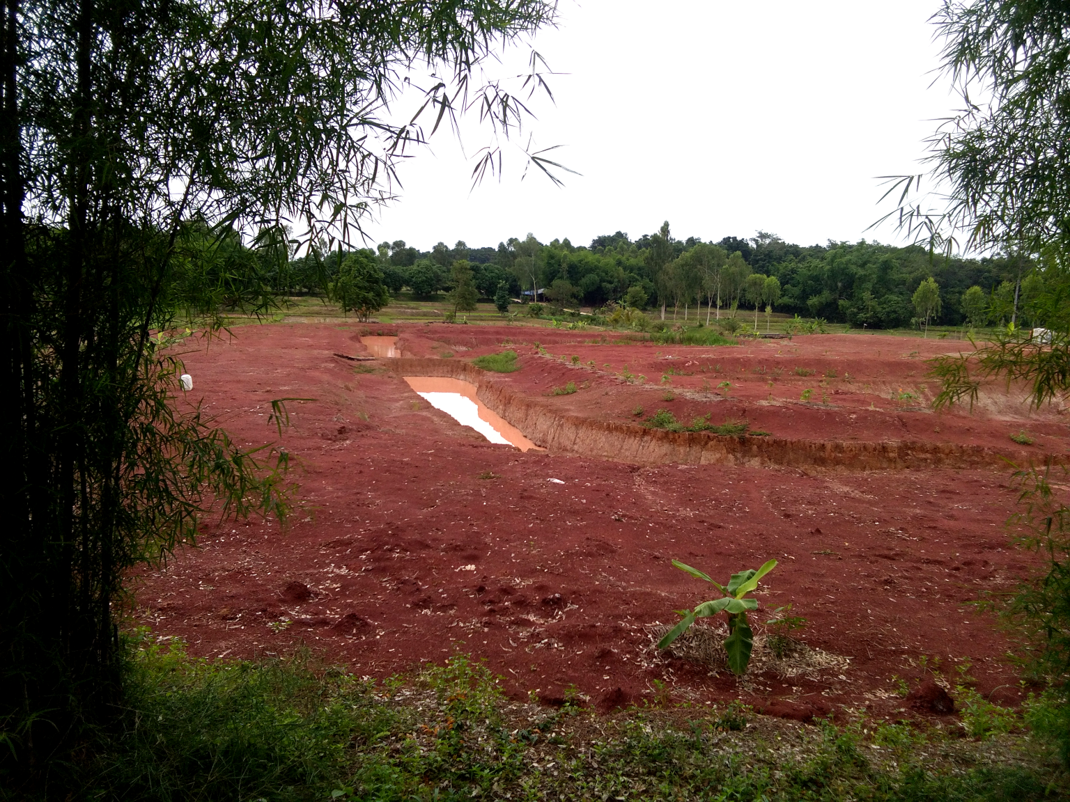 13bigponds.thumb.png.4f86760bb224d57c2b0e80fda340e8f1.png