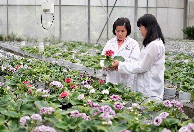 Biotech-5436-1653878084.jpg