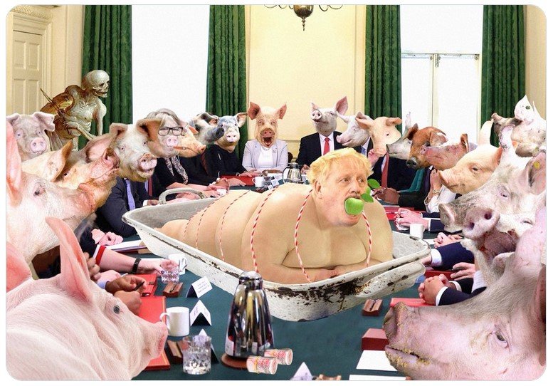 CWS-ConfidenceVote.jpg.380c8a9a59279ca342a8a8529c889fab.jpg