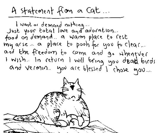 CatStatement.jpg.f92a7dc8557e3410a38452974b95619c.jpg