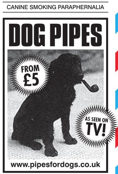 Pipes4dogs.jpg.9769c22b8374afca19bf70d6e7e4bc99.jpg