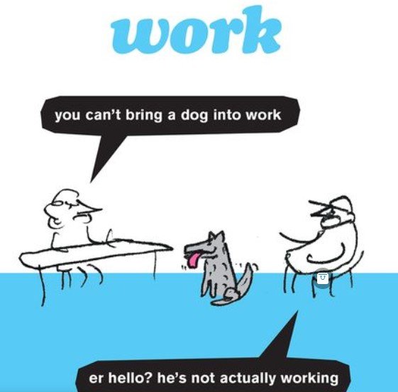Work_NoDogs.jpg.28f5c6dee90fbb51a58cfd375accc92d.jpg
