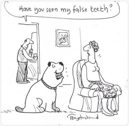 falseteeth.jpg.d57a6f4d1b1dba7f374d1f54bb506f97.jpg