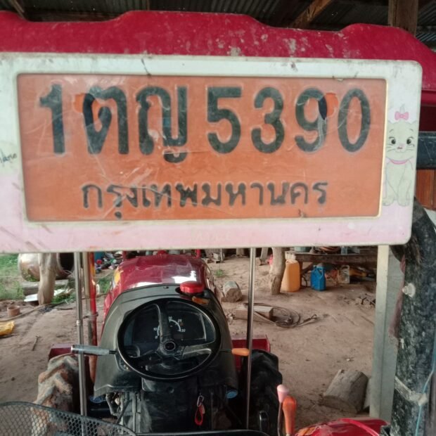 image.jpeg