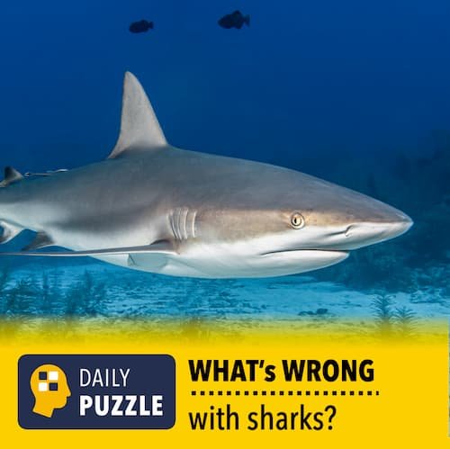 week2-3WED-PuzzleB.jpg