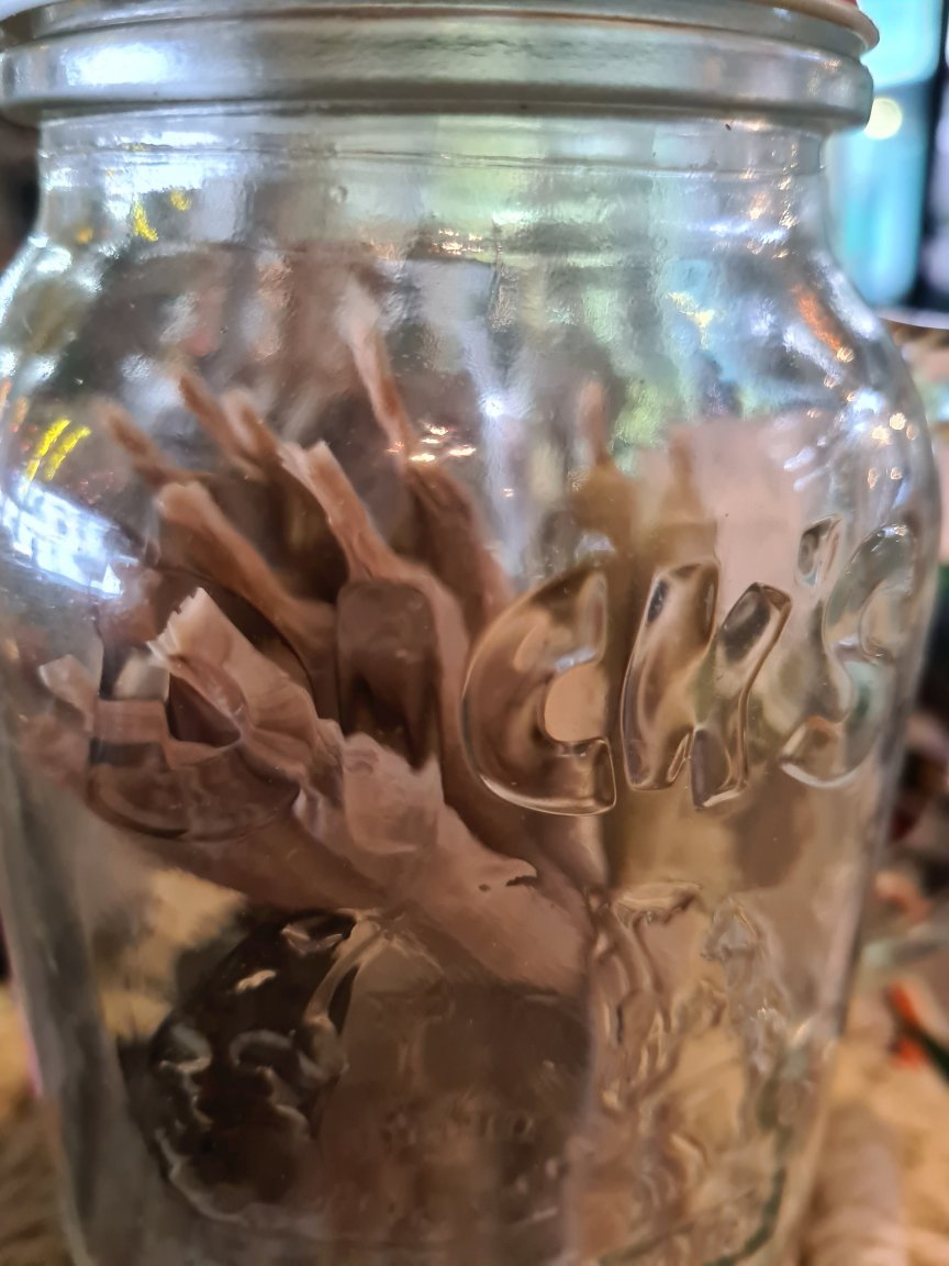 20220703_173930.jpg