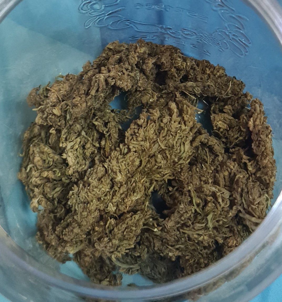 20220725_130455.jpg