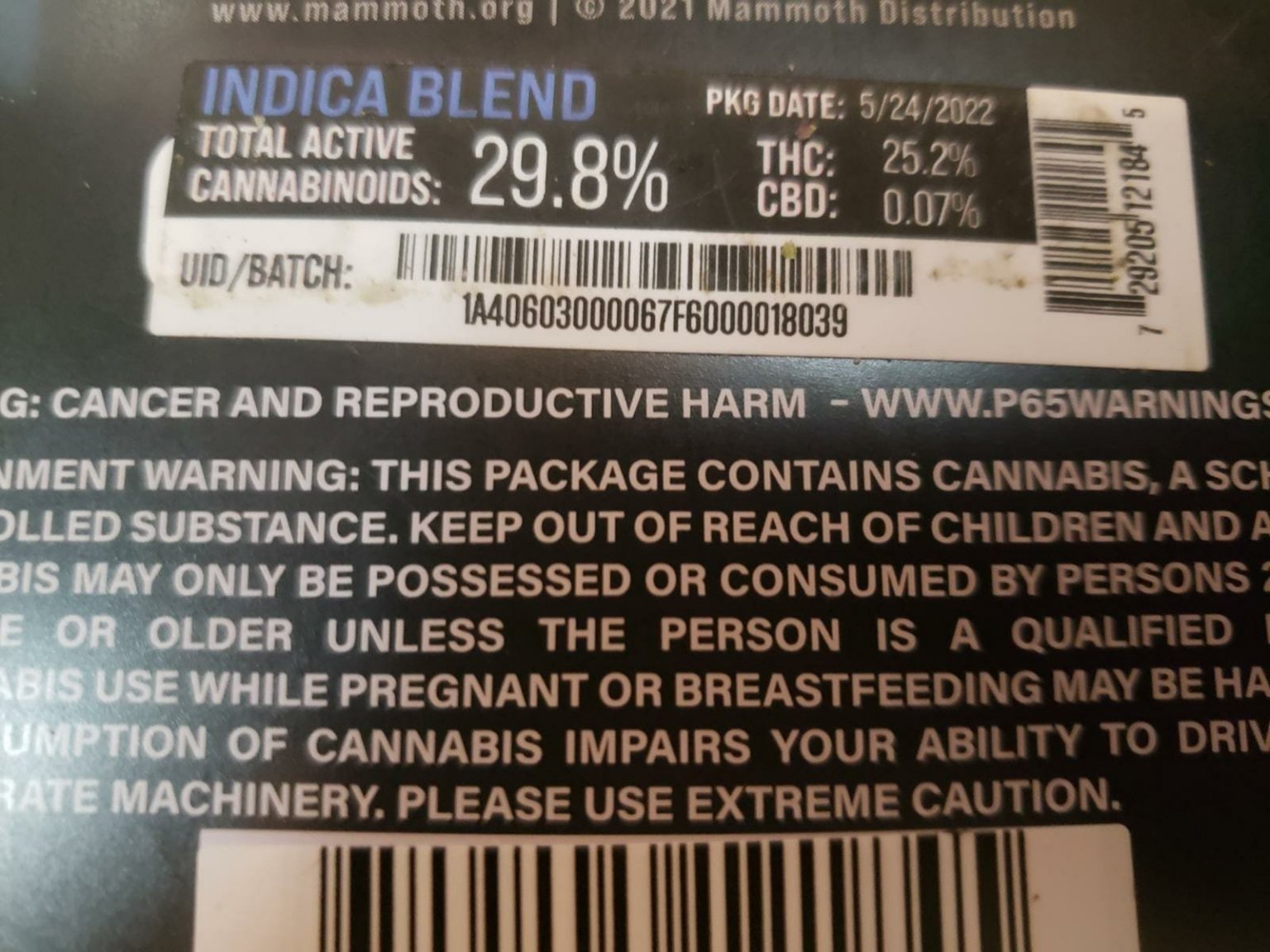 angelas pot.jpeg