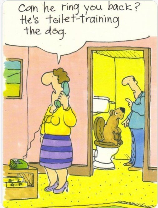 DogToiletTraining.jpg.fc2e1157b8dd6d7dedecc91879820709.jpg