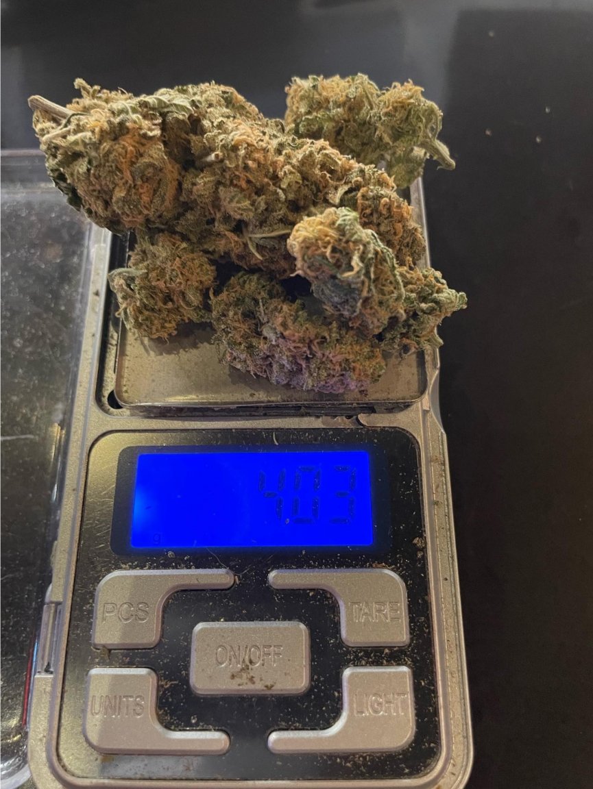 greencrack.jpg