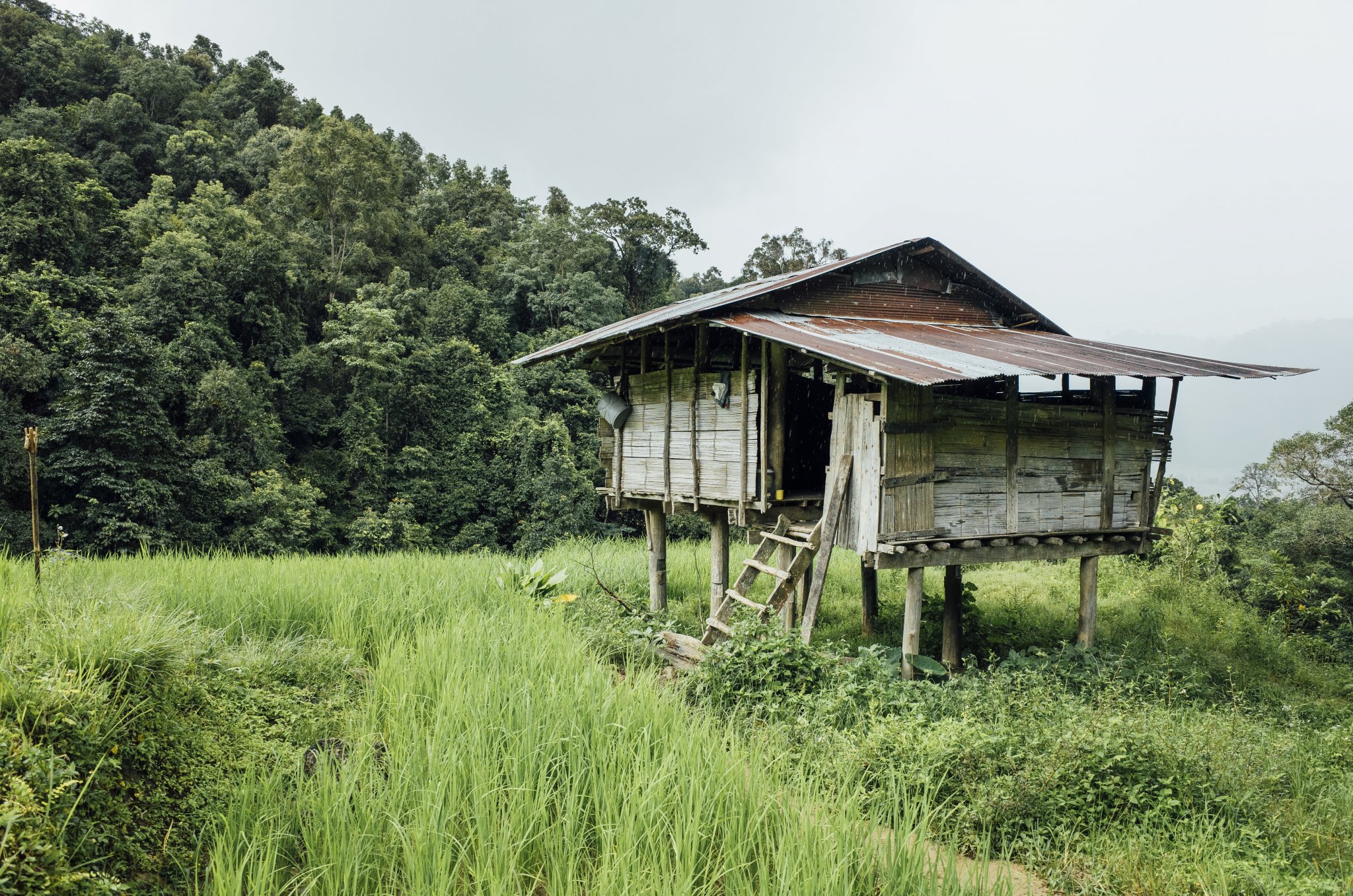 hut-rice-field-thailand.jpg