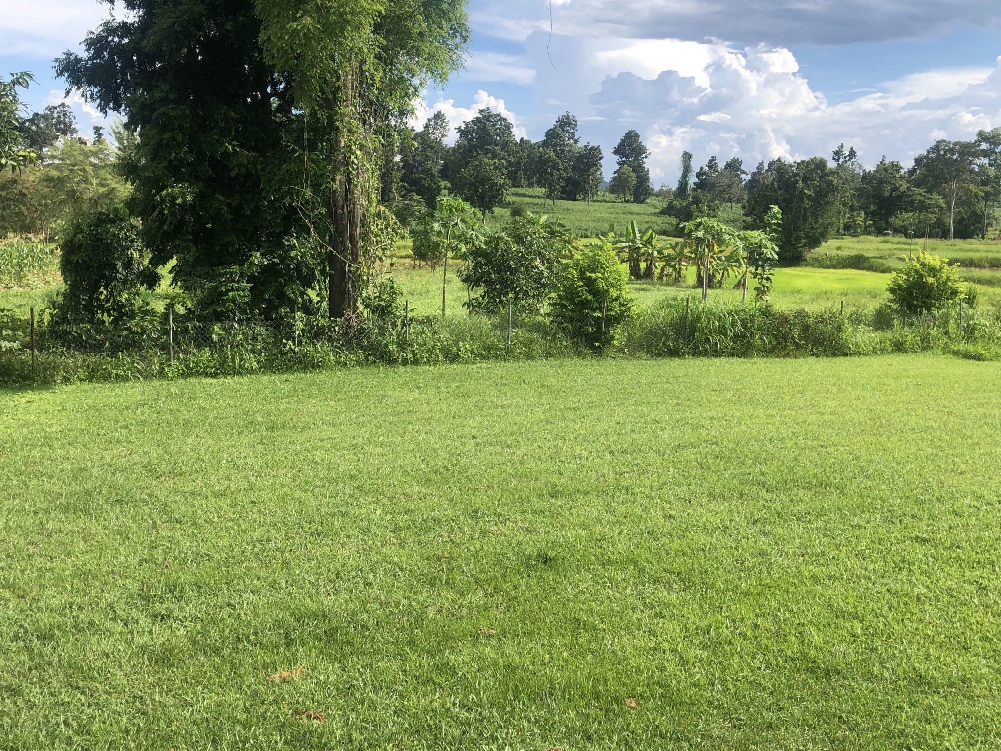 image.thumb.jpeg.c9895f2437a7fdfcee8520e7475c479a.jpeg