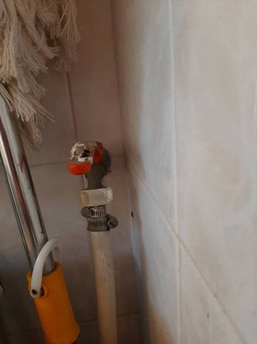 image.thumb.jpeg.db66421d27af57501b44bbfe1babaec3.jpeg