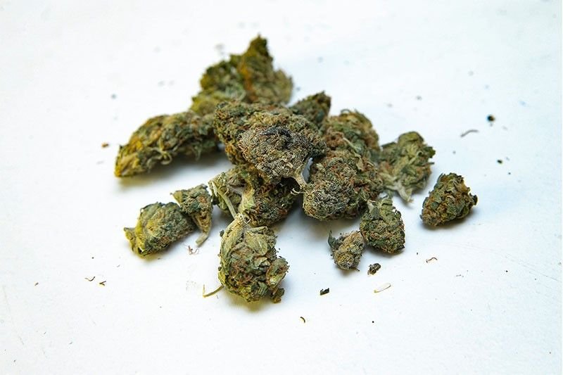 medical-marijuana_2018-12-18_17-02-41.jpg