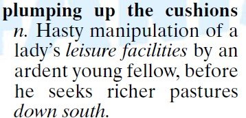 plumpingUpTheCushions.jpg.207fbba3e11149c61c04dc21088af8a7.jpg