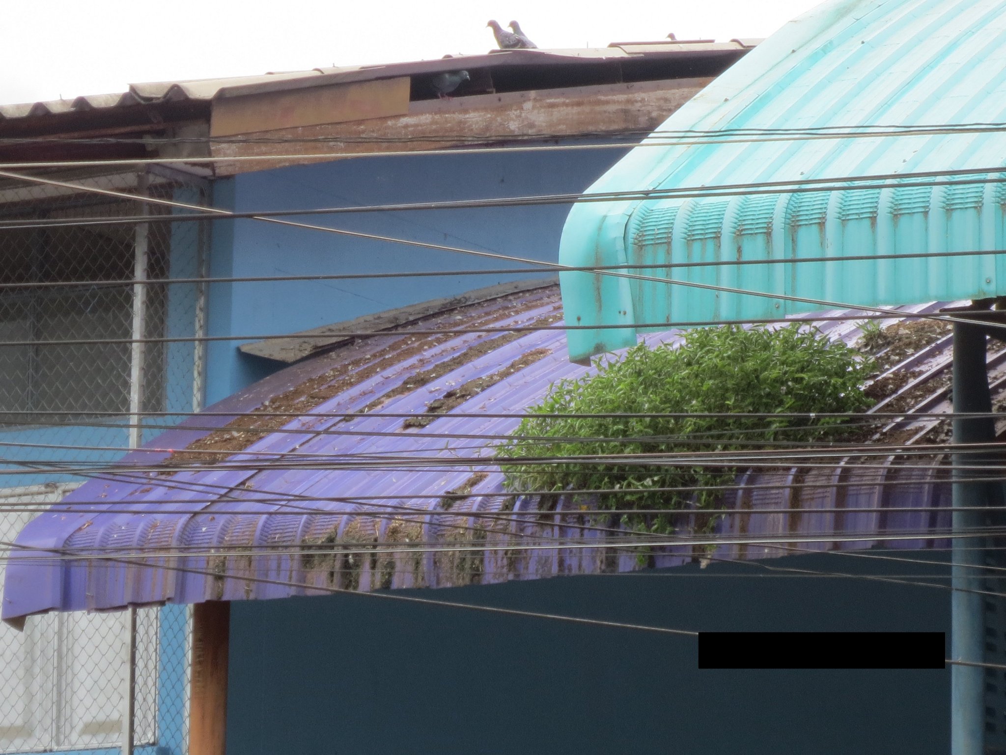 School 2.png.jpg