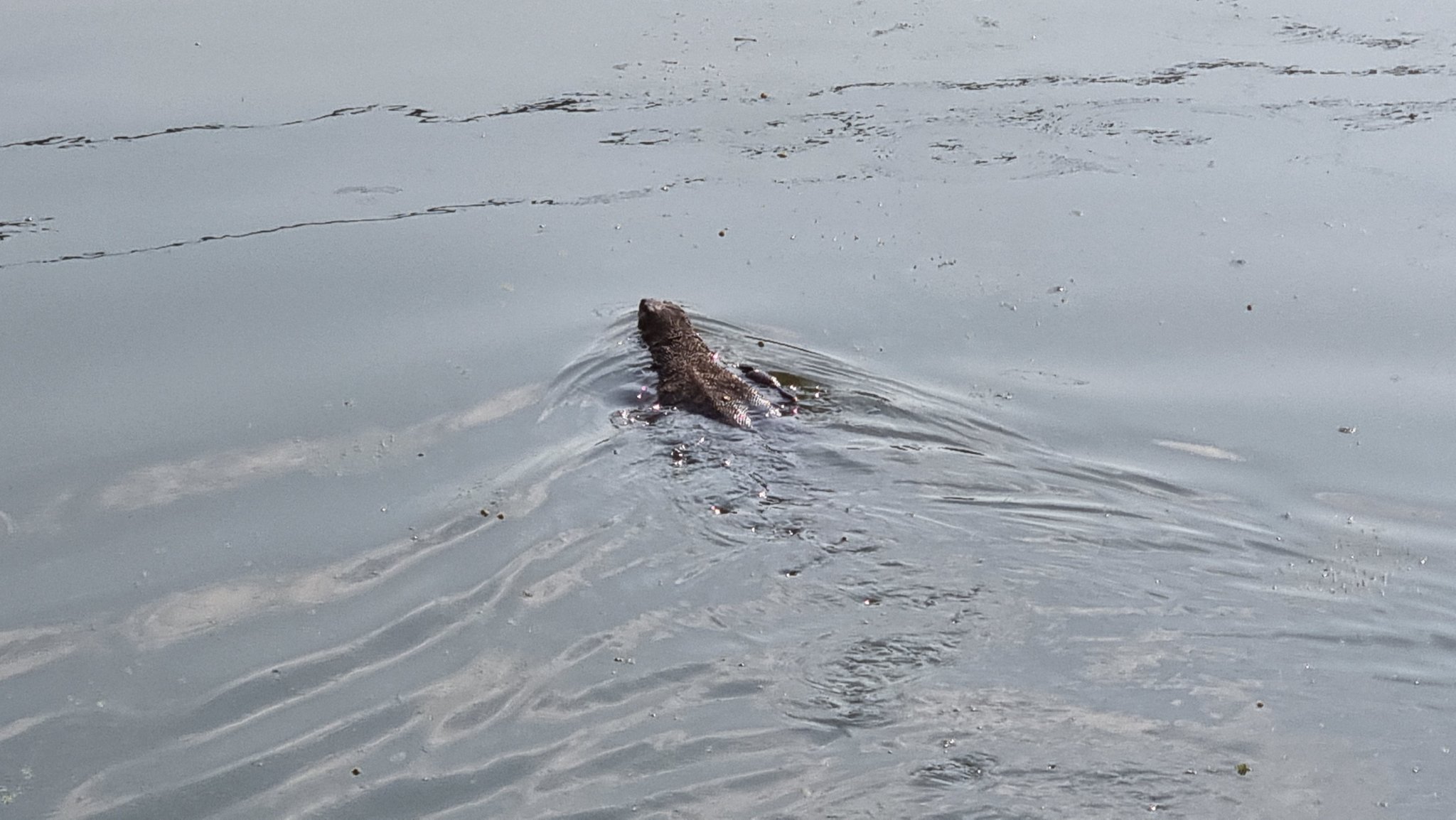 20220127_160654.jpg