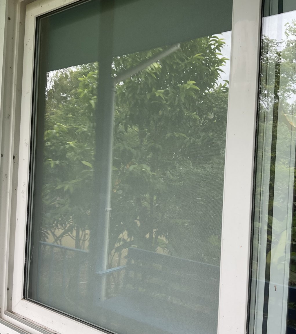 DE1008D0-DF5B-4BF7-8235-B369607194EC.thumb.jpeg.e4ca44f3c776184764357114fa69c318.jpeg
