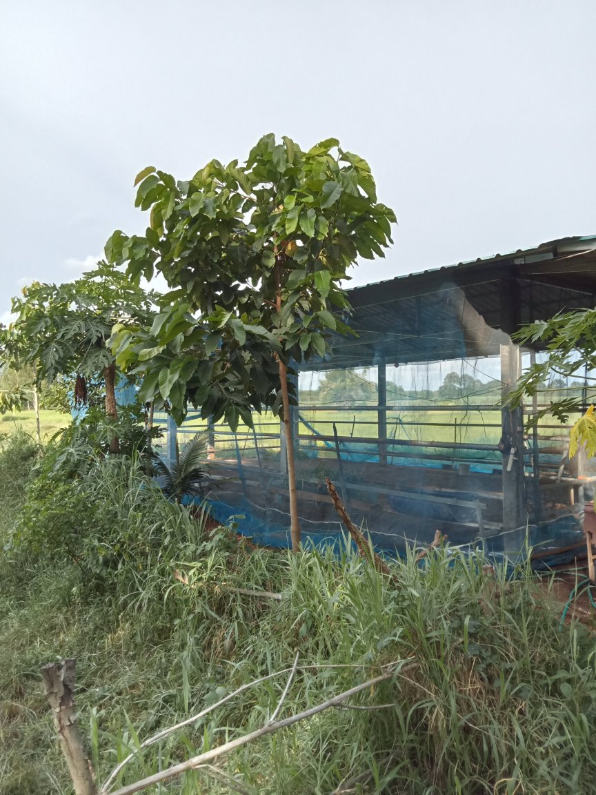 IMG20220819164256.jpg