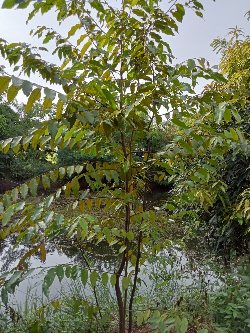 IMG20220819164354.jpg