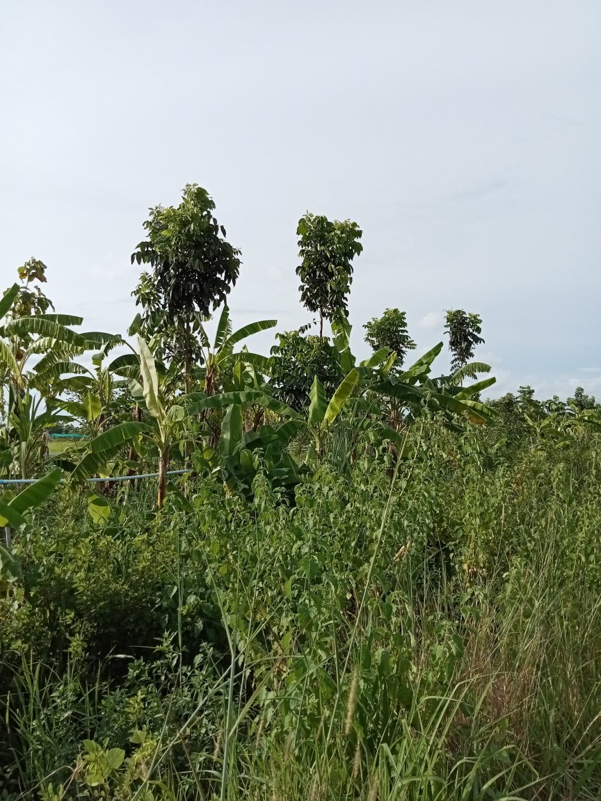 IMG20220819164807.jpg