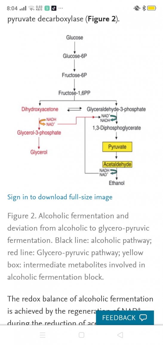Screenshot_2022-08-21-08-04-04-97.thumb.jpg.0964892baa920fd88c87bec600015269.jpg