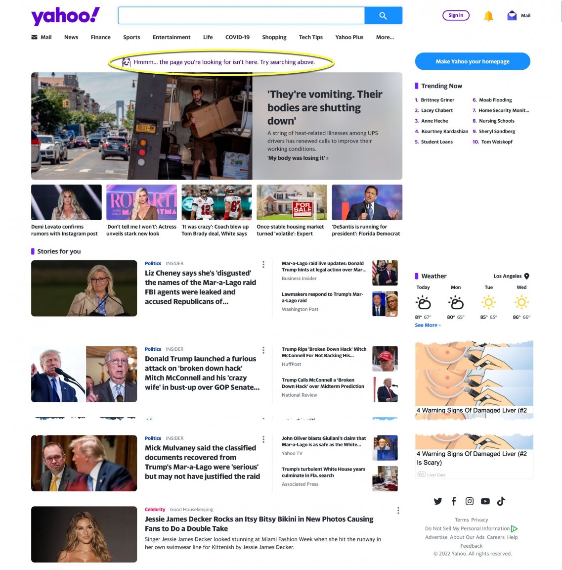 Yahoo_j6_2.jpg