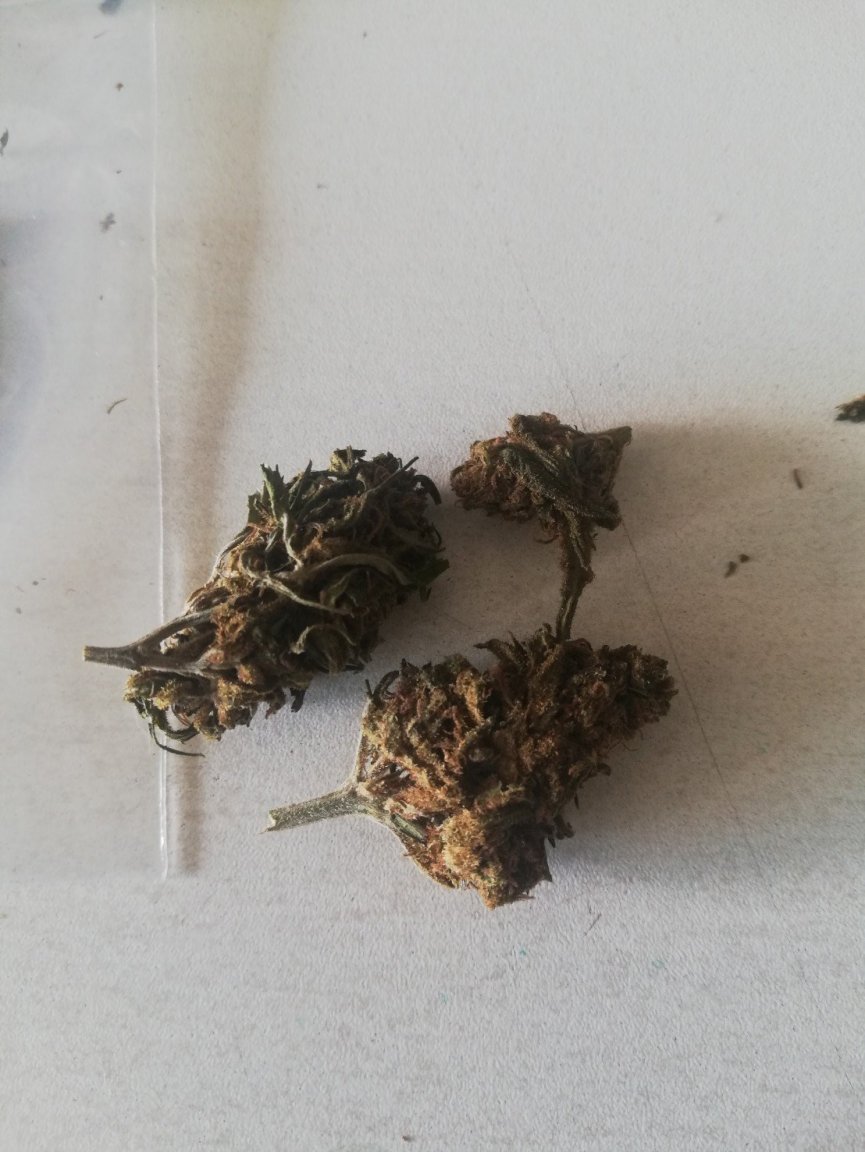 og.jpg