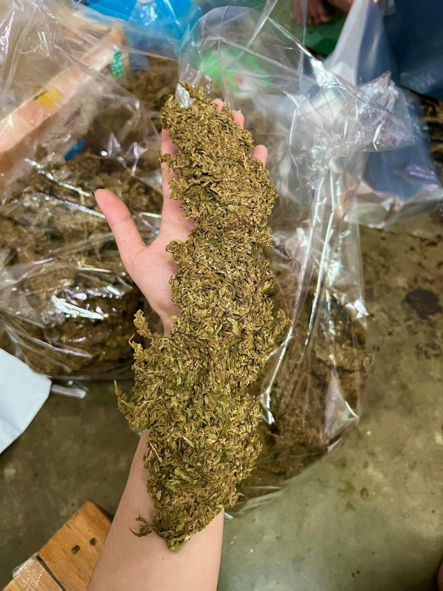 received_797920501559142.thumb.jpeg.47f6144af2cf6d794f203b808ccb11db.jpeg