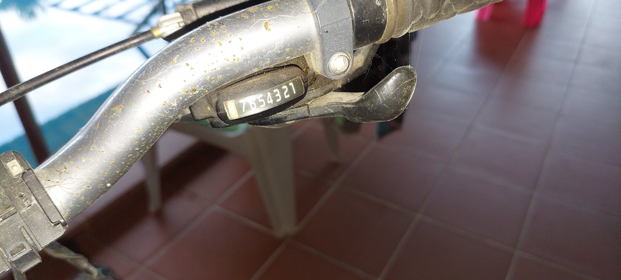 20220926_063234.jpg