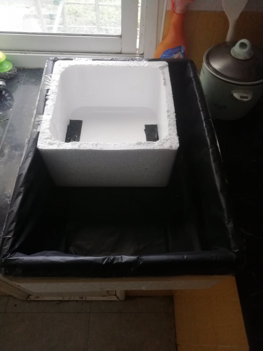 Rooting box.jpg