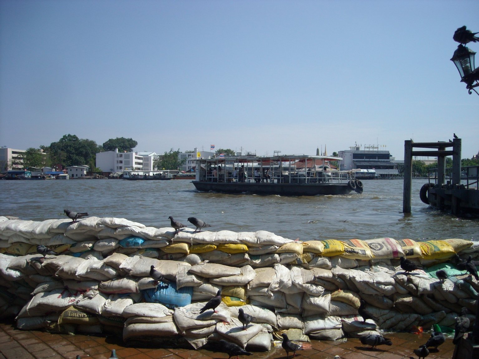 DSCN4787.JPG