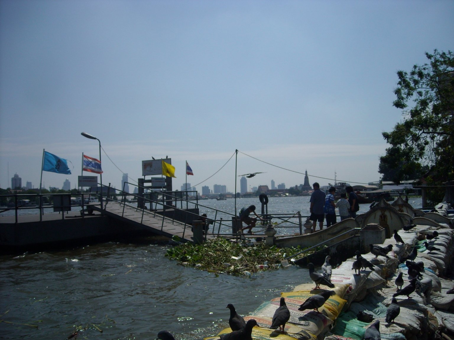 DSCN4792.JPG