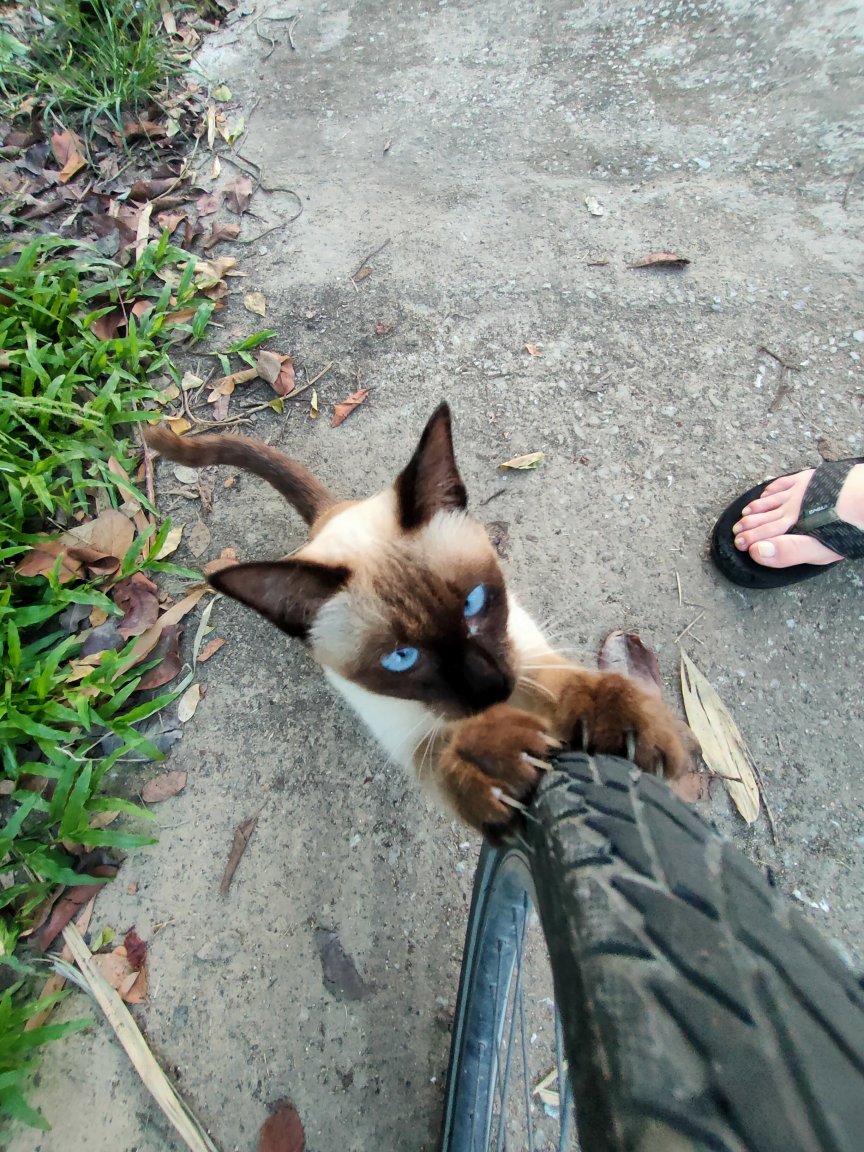 IMG20211005180250.jpg