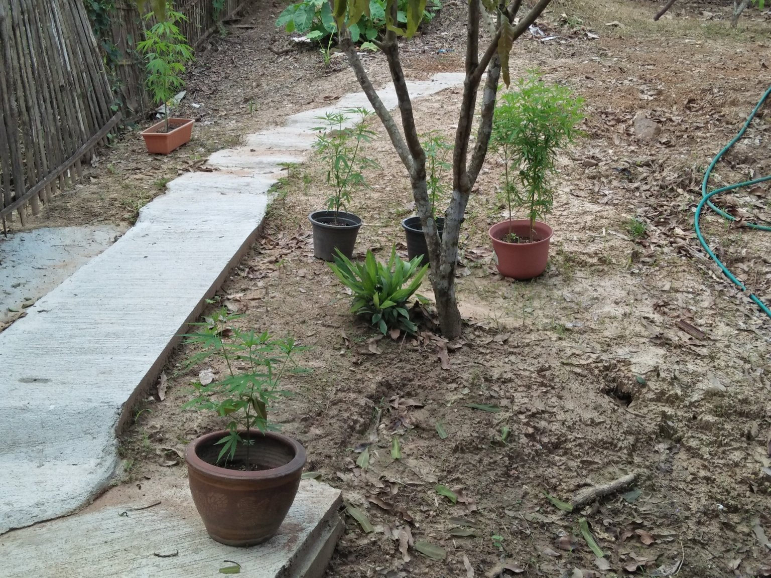 IMG20220916130301.jpg