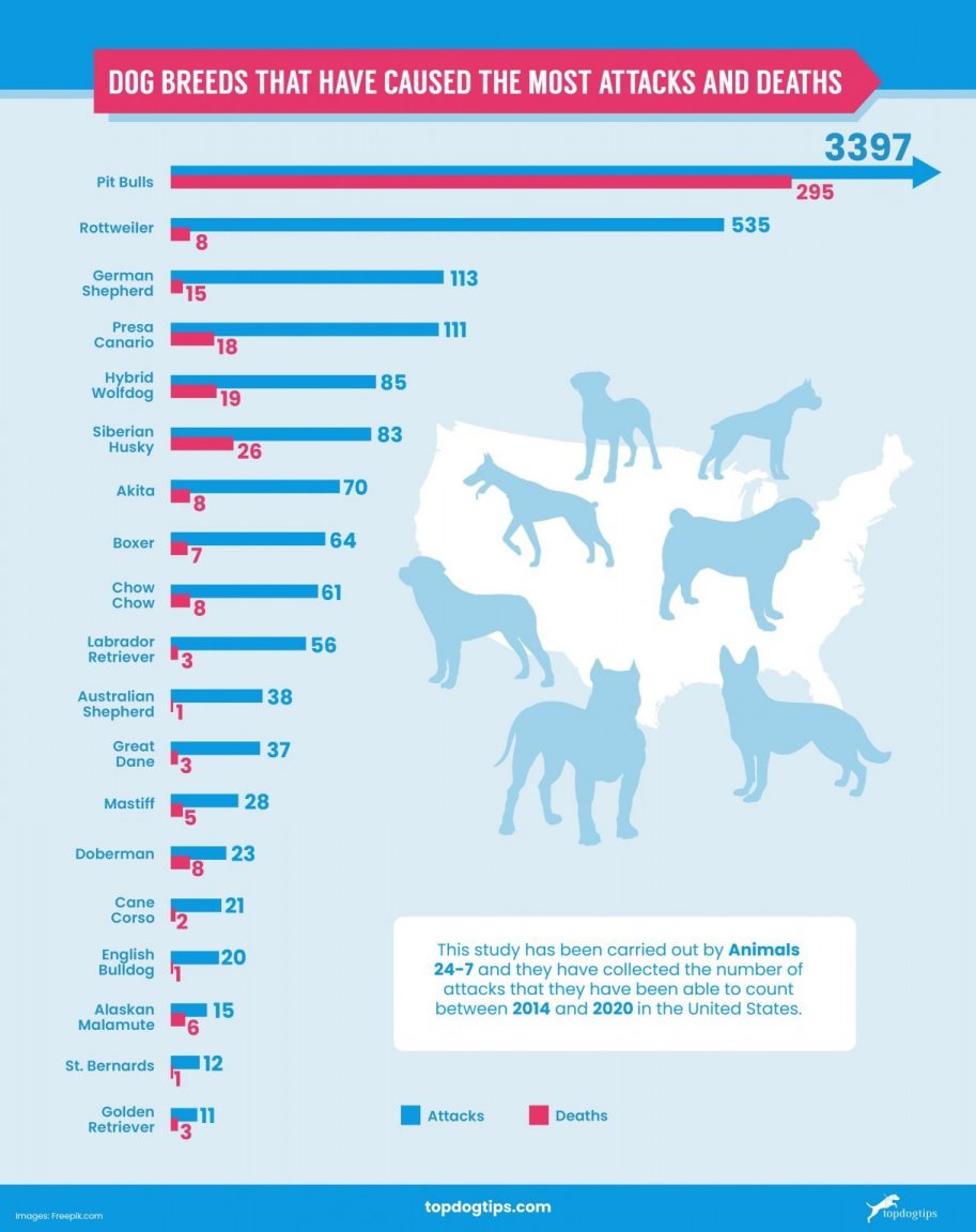 US-Statistics-on-Dog-Bites_2-1217x1536.jpg