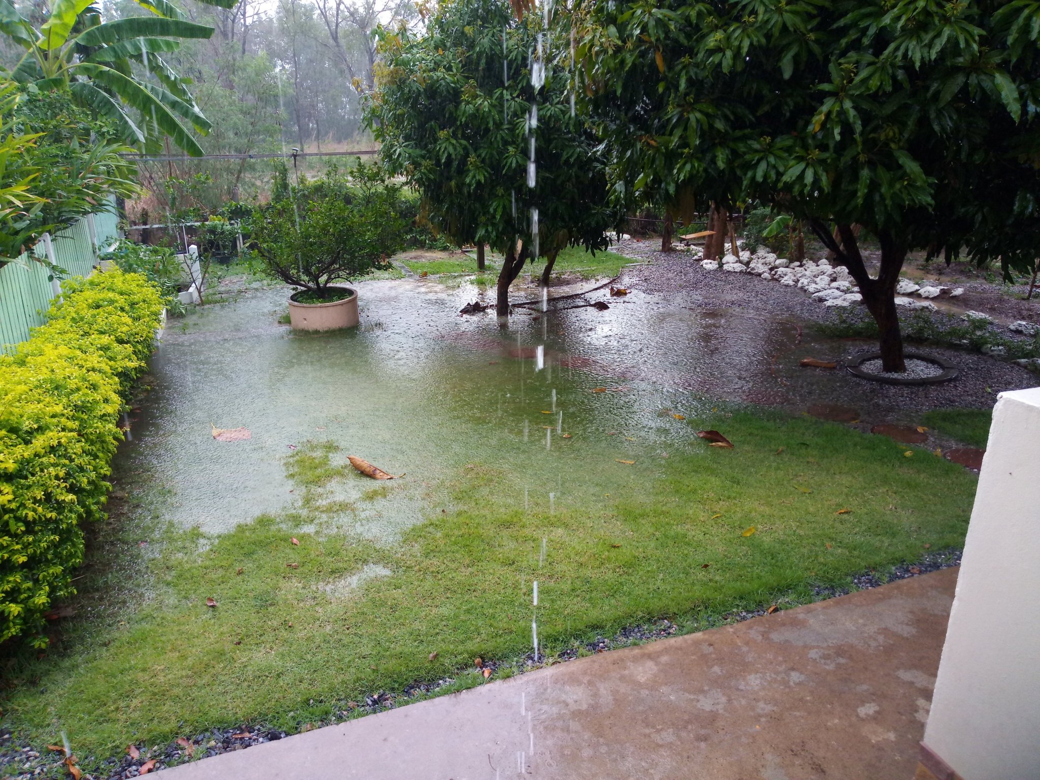 rain3.jpg