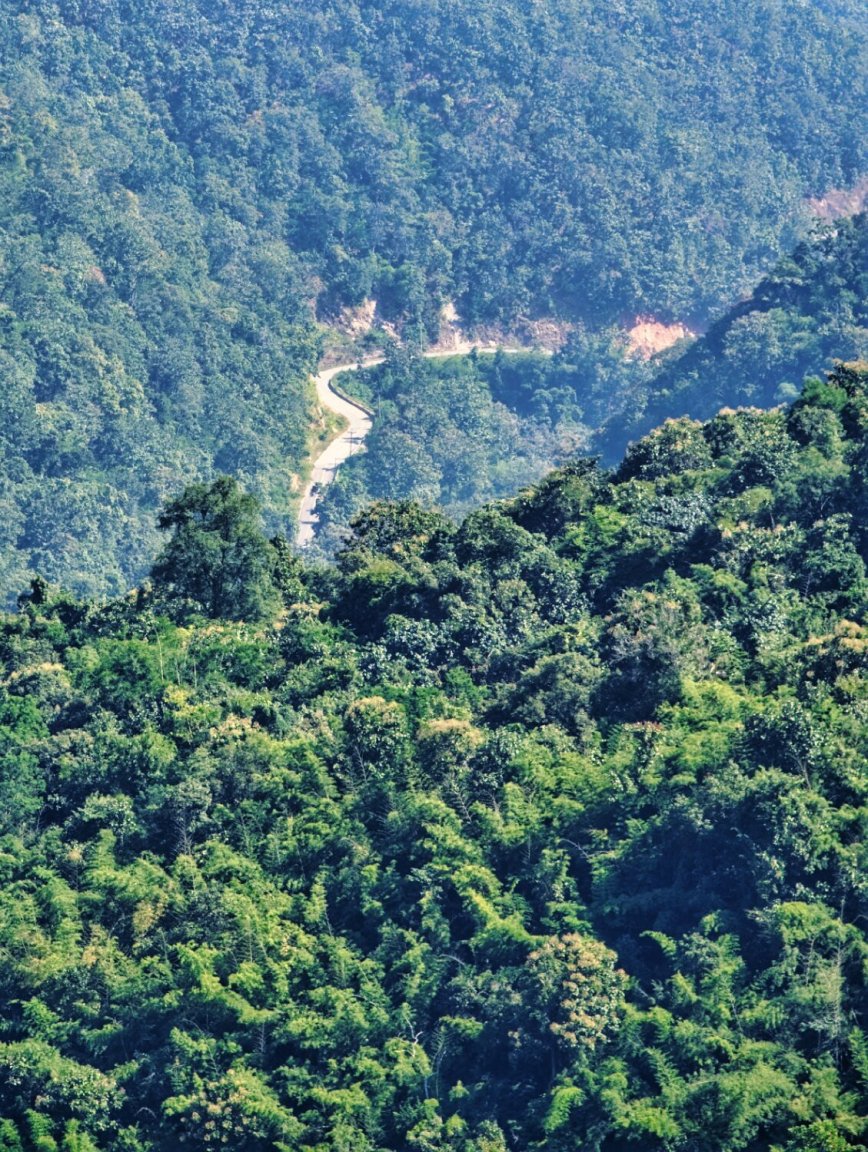 DSCF4841.jpg
