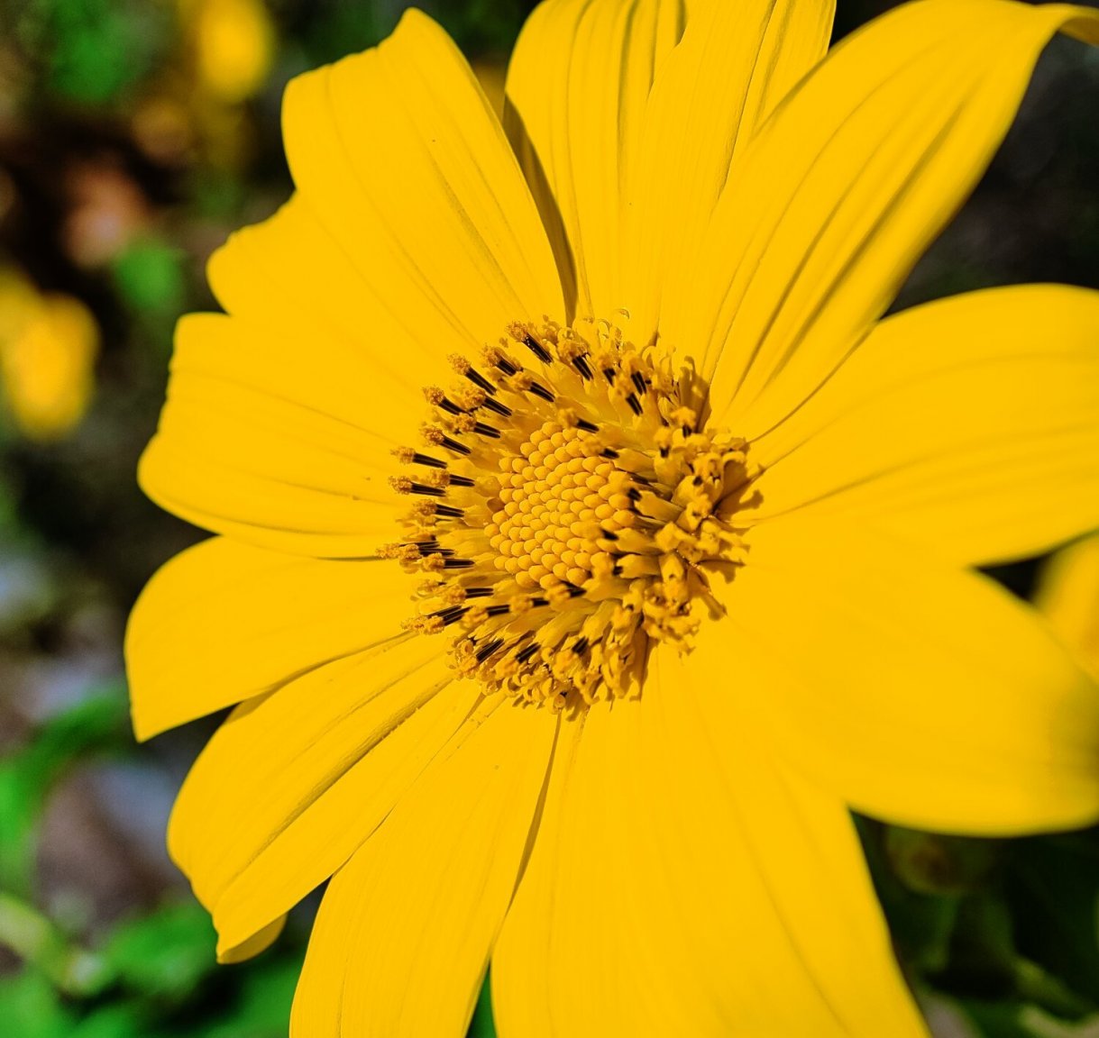 DSCF4920.jpg