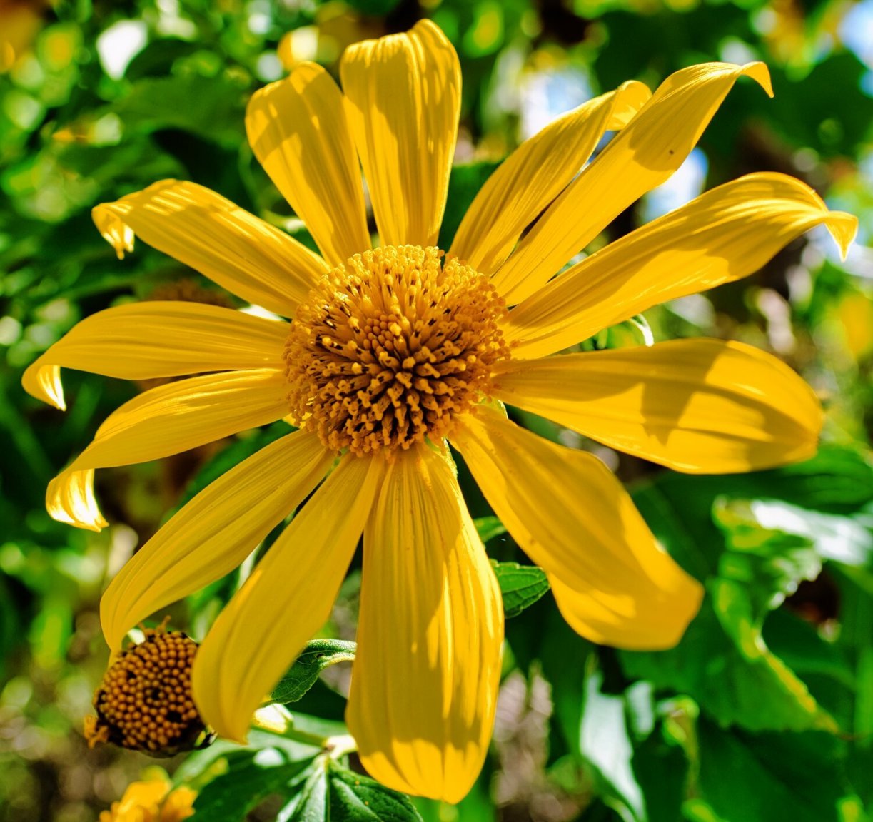 DSCF4926.jpg
