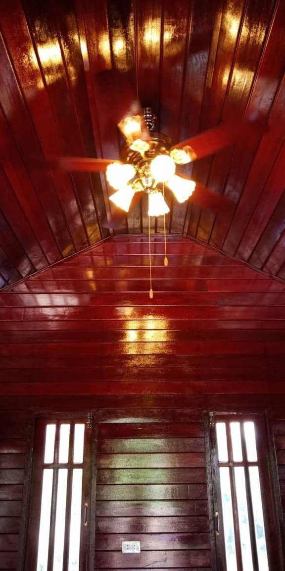 bung_fan.thumb.jpg.19f13bf5e8a09e088cad6cc3091ef14f.jpg