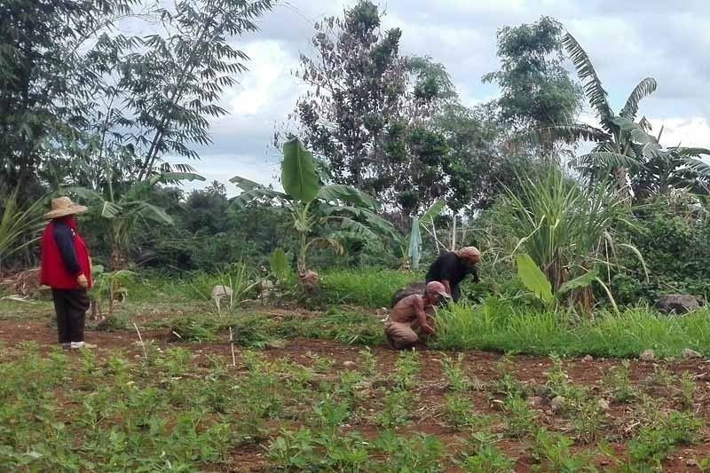 leyte-farm2018-06-1416-36-362019-10-0213-56-28_2022-11-17_17-17-55.jpg