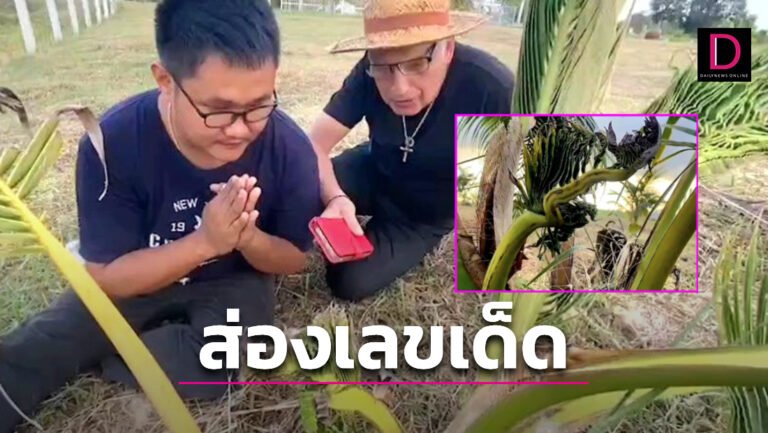 1-แบบปกใส่คำพูด-New-28-4-768x433.jpg