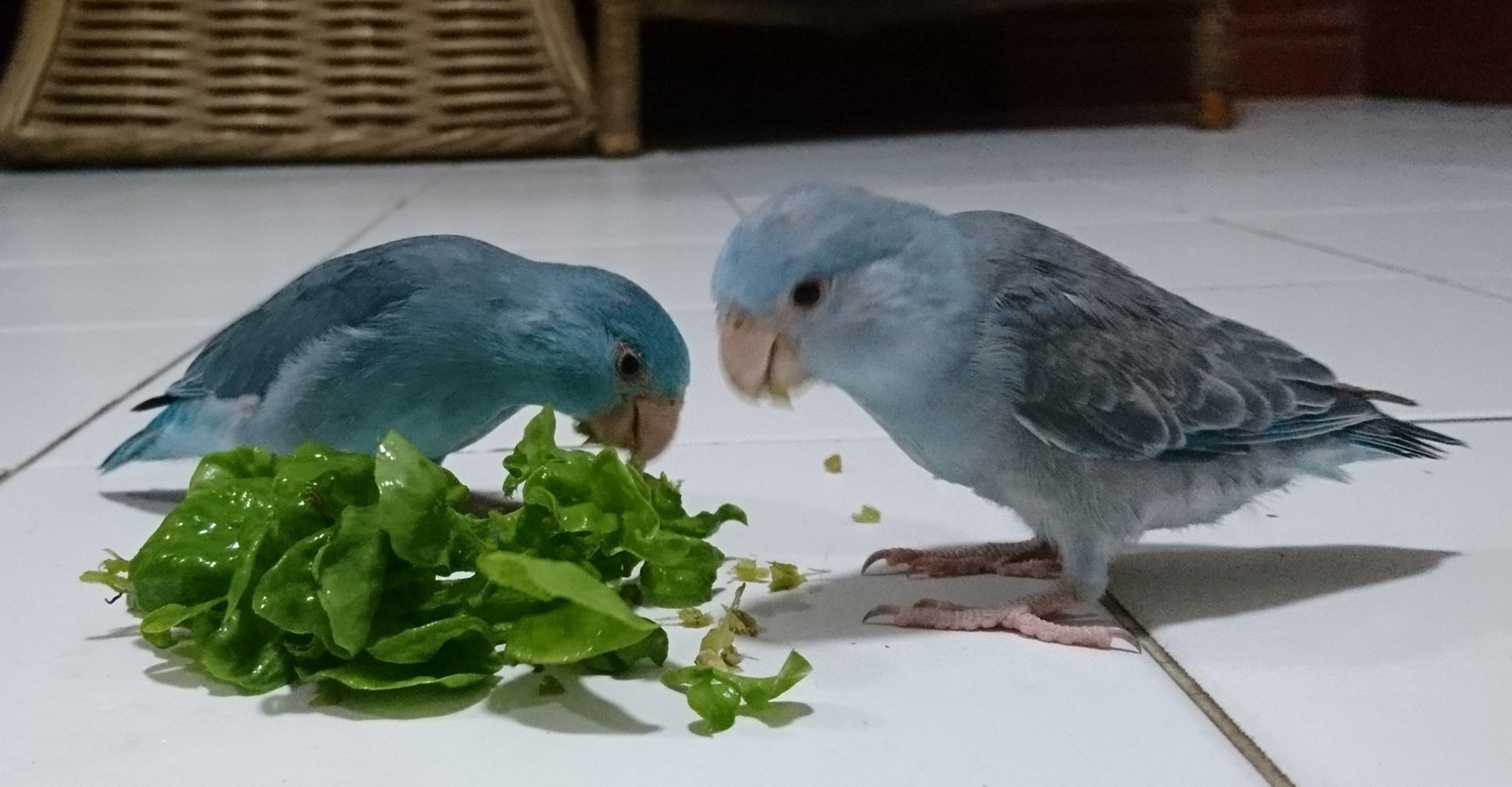 _20221207_181746.JPG