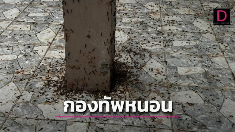image.jpeg