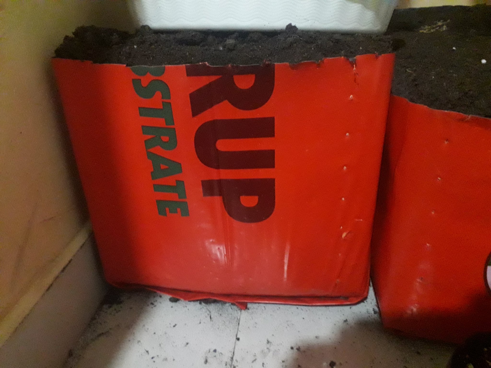 20230117_115641.jpg